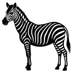 Zebra vector