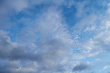 Fototapeta premium Fluffy clouds create an illusion of softness and comfort against the heavenly azure. Symbolizes childhood memories and dreams.