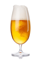 A tall glass of beer with a golden hue and frothy head, isolated on a clean white background