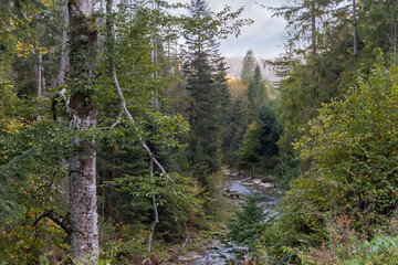 Valley of small mountain river with forested slopes at autumn