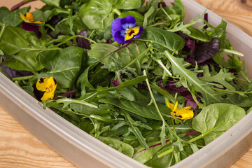 Greens with edible flowers in plastic container, fragment close-up
