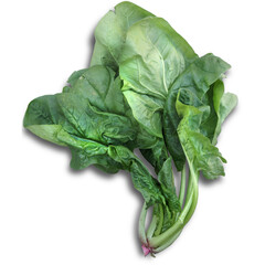 A fresh bunch of leafy greens, likely spinach, showcasing vibrant green colors and healthy foliage.