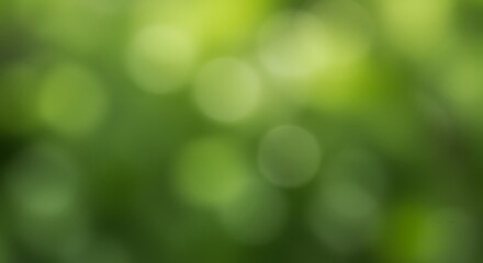 Obraz premium Emerald Bokeh: Nature's Soft Focus AI Generated