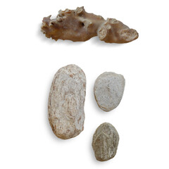 A collection of various stones showcasing different textures and shapes.