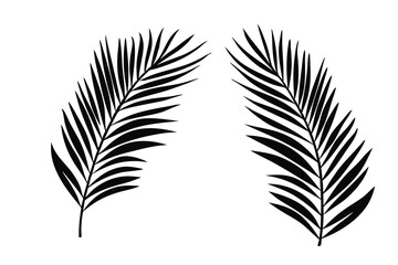 palm tree silhouette, palm tree Icon, palm tree silhouette vector illustration