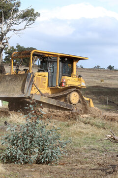 Ripping rabbit burrows