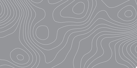 Abstract Stylized Topography Line Map with Geometric Circles and Contour Patterns on a Black and White Background, Ideal for Contemporary Art, Maps, and Visual Concepts