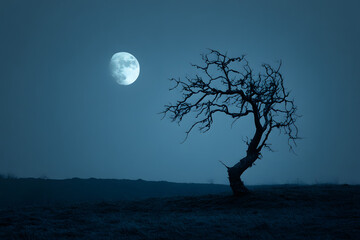 Dead Tree Silhouetted Against Full Moon in Haunting Landscape  