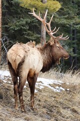 Banff, Alberta, Canada
