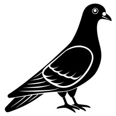 Pigeon Line Art Vector Black and White Drawing Illustration