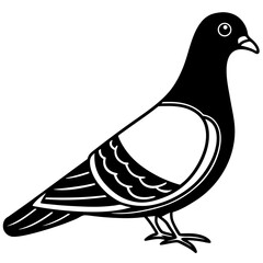Pigeon Line Art Vector Black and White Drawing Illustration
