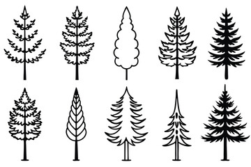 Obraz premium Pines Line Art Illustration Intricate Design for Beautiful Nature Art 