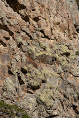 Kabardino-Balkaria. El-Tyubu. Rocky mountains with trees growing on their slopes glow in morning sun. Close-up. Chegem Gorge. Unique rocky ridge with steep cliffs against blue autumn sky.