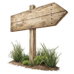 Weathered Wooden Arrow Signpost with Green Grass Tufts