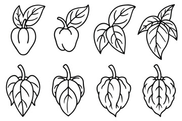 Pepper Leaf Line Art Creative Design for Botanical Illustration Artwork  