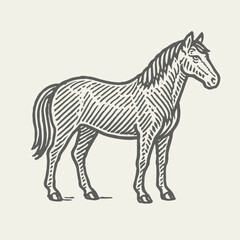 Horse Standing. Vintage rough woodcut linocut engraving style vector illustration. 