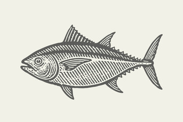 Tuna fish side view. Vintage woodcut engraving style vector illustration.