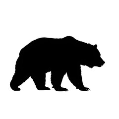 Fototapeta premium silhouette of a bear