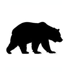 Fototapeta premium silhouette of a bear