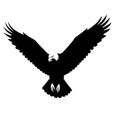eagle in flight