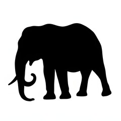 Obraz premium silhouette of elephant
