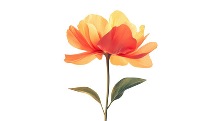 Obraz premium Floral Radiance: A close-up shot of a blooming flower, its soft petals radiating warmth in shades of vibrant orange and delicate yellow. A gentle aesthetic. 