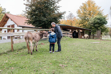 A father and his children pet a small donkey.