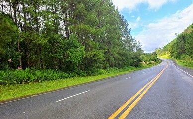 Uma linda estrada do Vale do Ribeira, estado de São Paulo, Brasil.