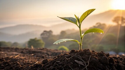 "Planta jovem brotando do solo com fundo suave de primavera" Uma muda verde vibrante crescendo em terra úmida, iluminada pela luz suave da manhã. Ao fundo, tons pastel e folhas recém-nascidas. Atmosfe