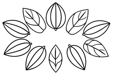 Pecan Leaf Line Art Detailed Artwork for Graphic Design Projects  