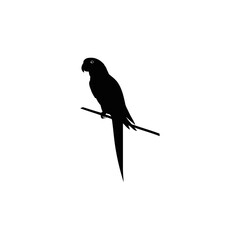 A black and white vector silhouette of a side-facing parrot with detailed feather structure and perched posture on a white background