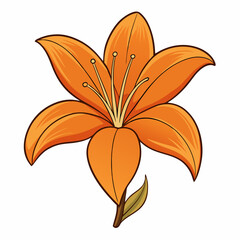 orange tiger lily