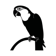 A black and white vector silhouette of a parrot perched on a tropical branch with claws gripping tightly on a white background.