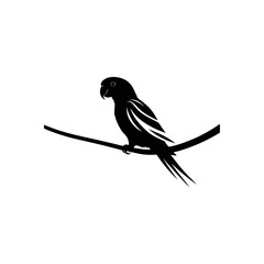 A black and white vector silhouette of a parrot with a crest raised and head slightly tilted on a white background