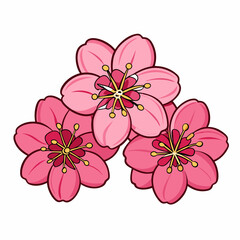 flower, pink, flowers, floral, nature, spring, vector, blossom, illustration, summer, design, pattern, plant, decoration, bouquet, card, purple, leaf, bloom, beauty, petal, flora, art, garden, color