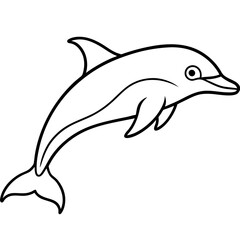 Single-Line Dolphin Illustration Vector