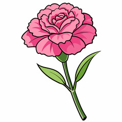 Obraz premium pink carnation flower
