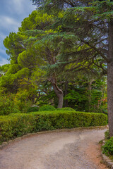 a picturesque section of a walking path in Foros Park, Crimea. The path, covered with compacted gravel, gently curves between lush bushes and tall trees. 