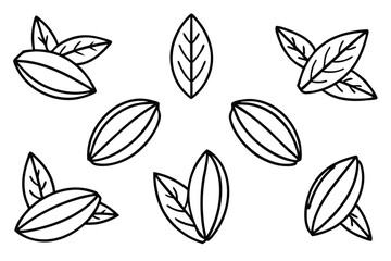 Pecan Leaf Line Art Simple Drawing for Unique Artistic Illustration  