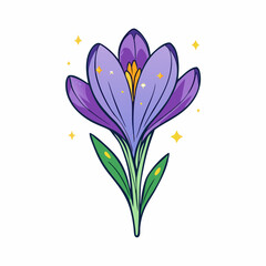 Naklejka premium crocus flowers vector