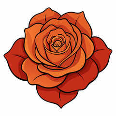 red rose isolated on white
