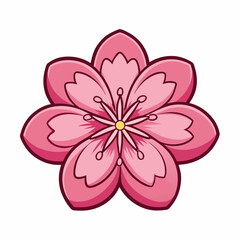 pink flower isolated on white