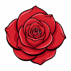 red rose vector illustration