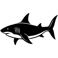 Shark Silhouette Vector Black and White Drawing Illustration