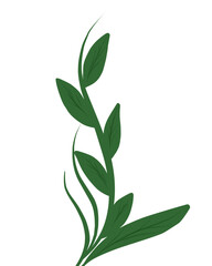 green leaves 