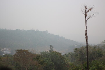 morning in the mountains. Green Landscape with Misty Hills and People in Farmland. 