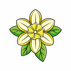 yellow flower isolated on white background