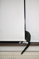 A cat is hiding behind the blinds