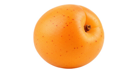 Isolated Apricot Fruit