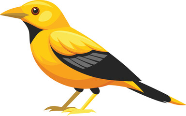 Fototapeta premium Beautiful Golden Oriole bird vector illustration